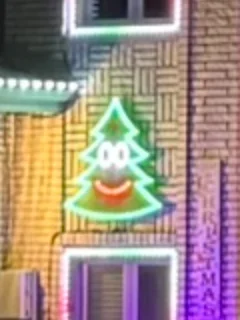 The singing tree: a small green tree with a face, on the wall between two windows by the front door.